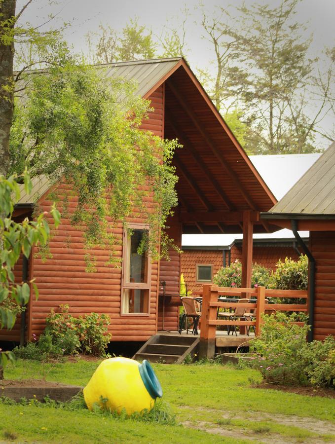 Cabanas Risso Villa Villarrica Exterior photo